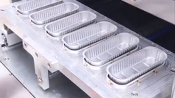 Thermoscelleuse automatique avec 6 moules de scellage AP200 